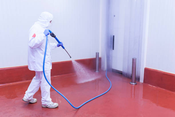 Reliable Siesta Acres, TX  Pressure Washing Services Solutions