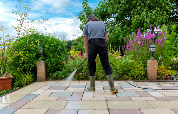 Best Winterizing Services  in Siesta Acres, TX