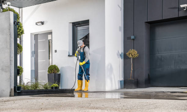 Best Building Exterior Washing  in Siesta Acres, TX